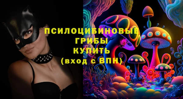 индика Навашино