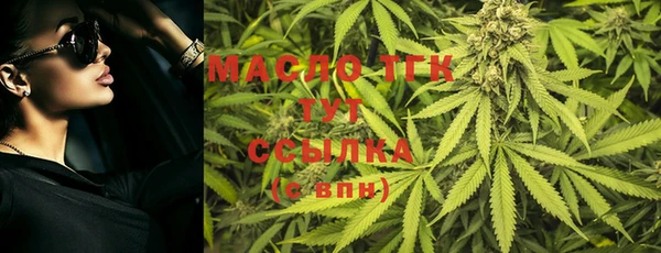 индика Навашино