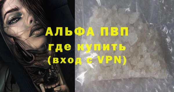 стаф Надым