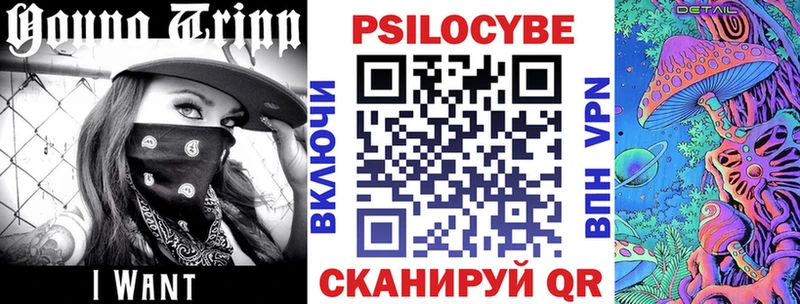 Галлюциногенные грибы Psilocybine cubensis  Родники 