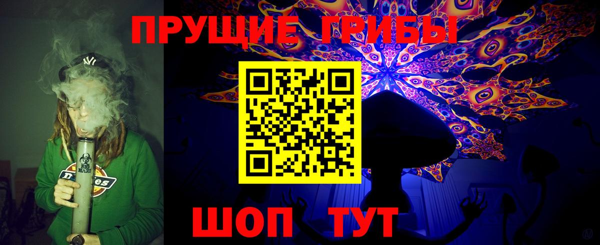 Галлюциногенные грибы прущие грибы  Вход с VPN  Родники 